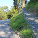 IMG_3311.JPG