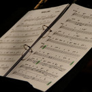 DSC05735_JPG-1345243928