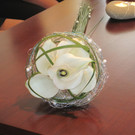 IMG_4381_JPG-1345279175