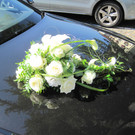 IMG_4385_JPG-1345278793