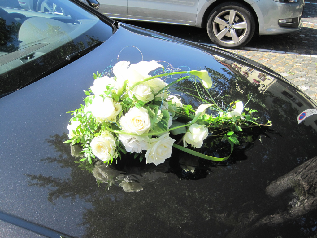 IMG_4385_JPG-1345278793