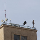 DAB3059-20120511.jpg