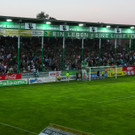 11958125.jpg