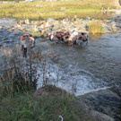 IMG_7276.JPG
