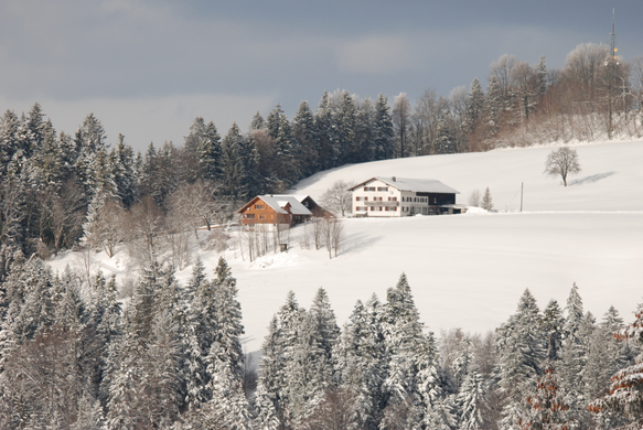 DSC_0048.JPG