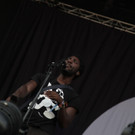 IMG_7341.JPG