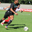 Dornb_ Innsb_   2012 082.jpg