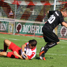 Dornb_ Innsb_   2012 328.jpg