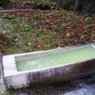 Buchboden - Schwefelquelle 4.jpg