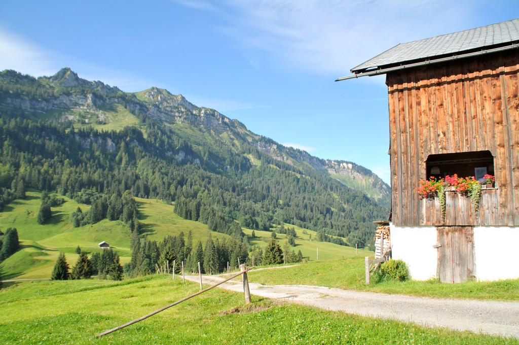 Sch__nenbach b 15-08-2012 300_jpg-1345394761