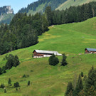 Sch__nenbach b 15-08-2012 361_jpg-1345394857
