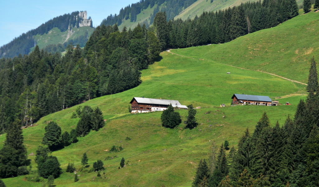 Sch__nenbach b 15-08-2012 361_jpg-1345394857