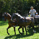 DSC_1801_jpg-1345404261