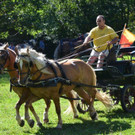 DSC_1849_jpg-1345404276