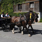 DSC_1604.JPG