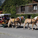 DSC_1612.JPG