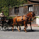 DSC_1613.JPG