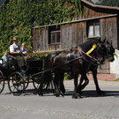 DSC_1614.JPG