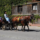 DSC_1616.JPG