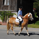DSC_1618.JPG