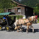DSC_1624.JPG