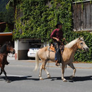DSC_1631.JPG