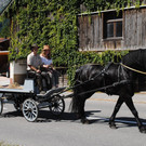 DSC_1636.JPG