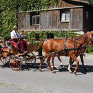 DSC_1637.JPG