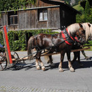 DSC_1644.JPG