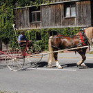 DSC_1645.JPG