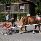 DSC_1646.JPG