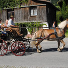 DSC_1647.JPG