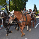 DSC_2335_jpg-1345404998