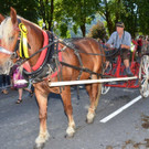 DSC_2463_jpg-1345405045