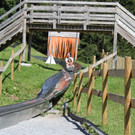 IMG_4962.JPG