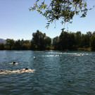 einschwimmen_jpg-1345414354