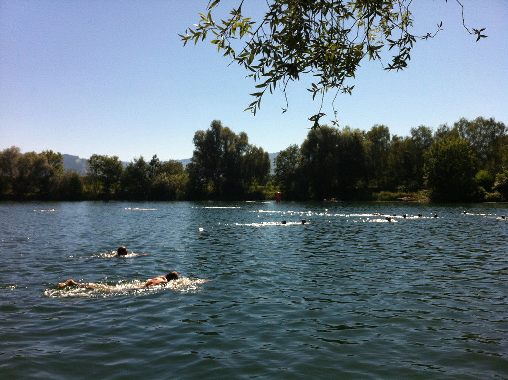 einschwimmen_jpg-1345414354