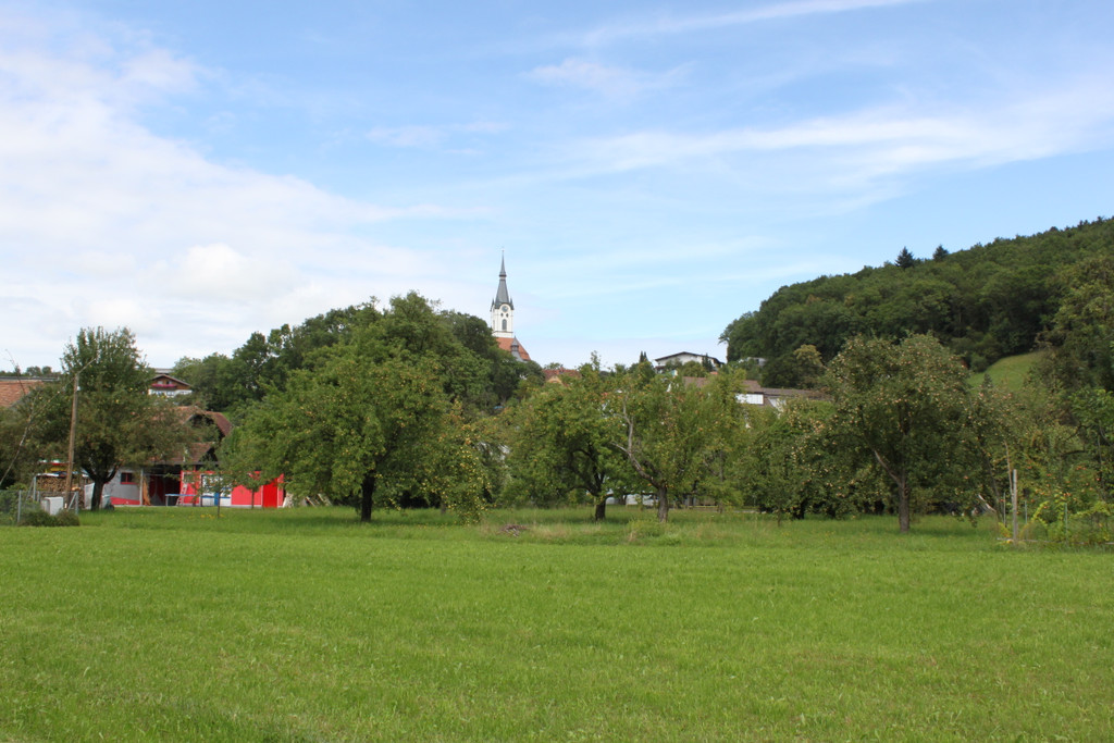 IMG_4822.JPG