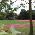 IMG_4857.JPG