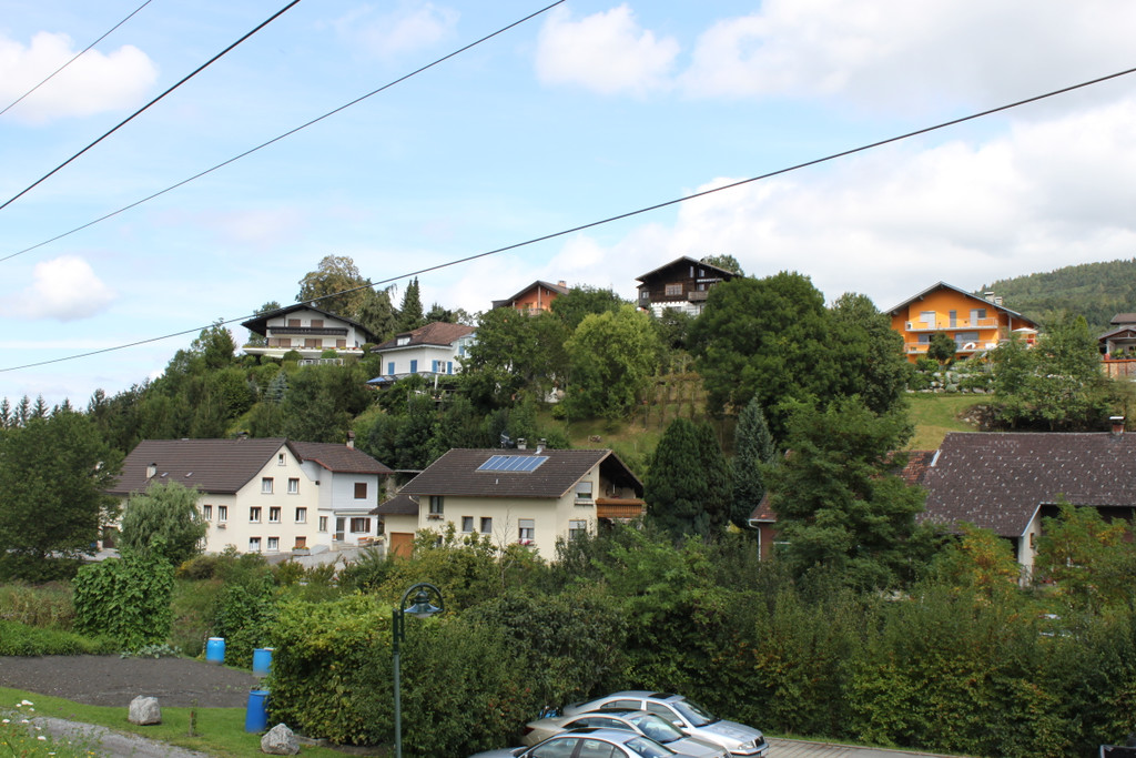 IMG_4876.JPG