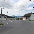 IMG_4877.JPG