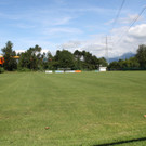 IMG_4926.JPG