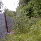 P1010001.JPG