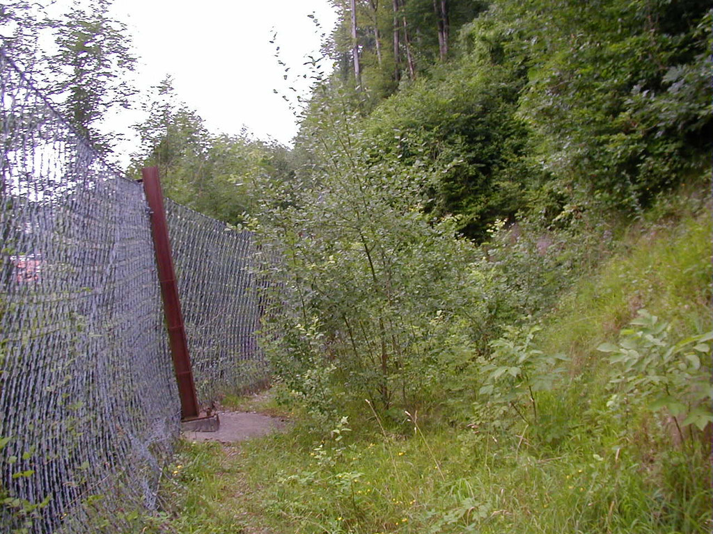 P1010001.JPG