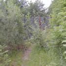P1010003.JPG
