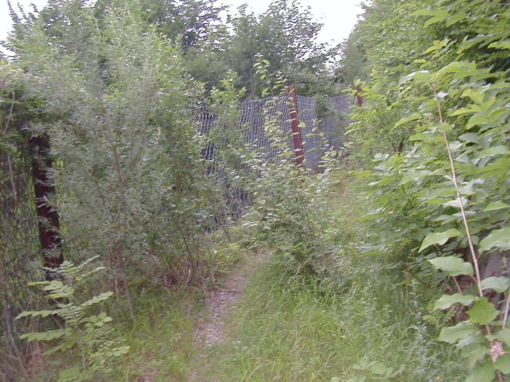 P1010003.JPG
