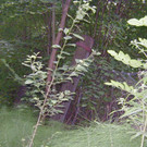 P1010015.JPG