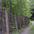 P1010019.JPG