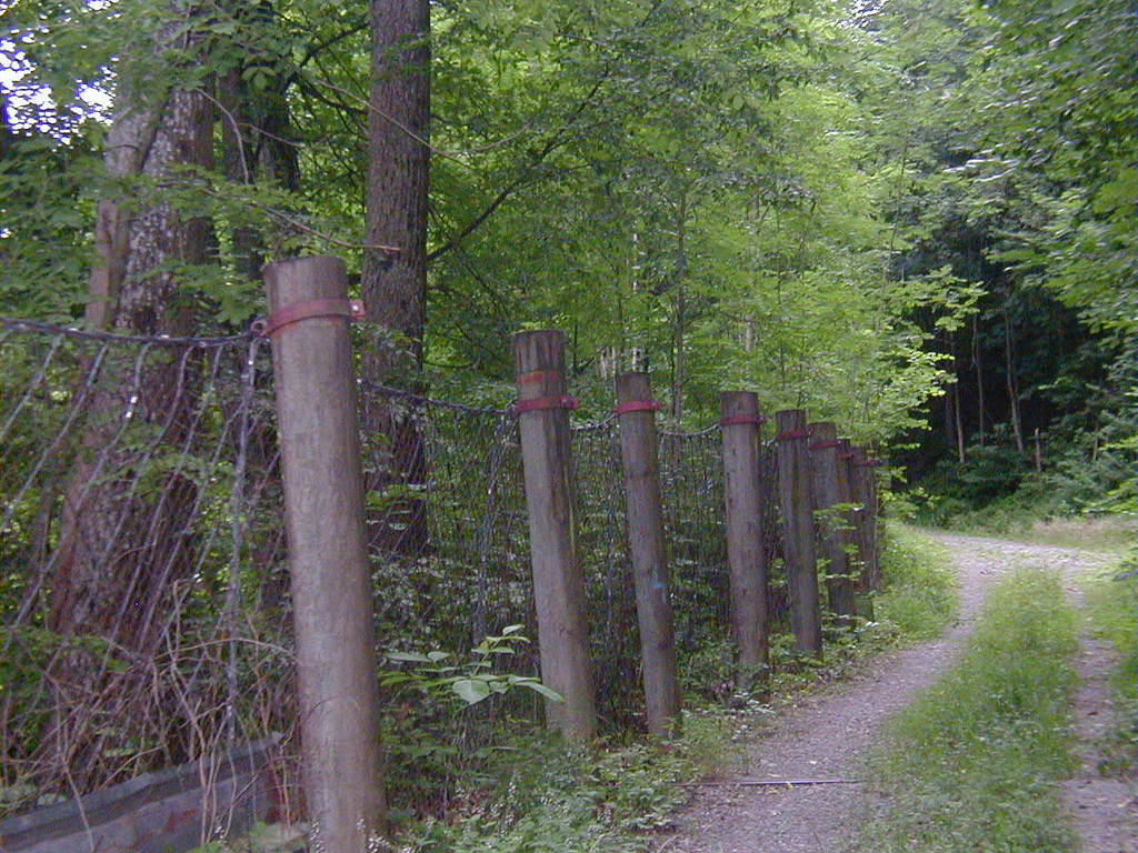 P1010019.JPG