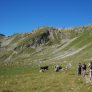 DSC04735_JPG-1345462115